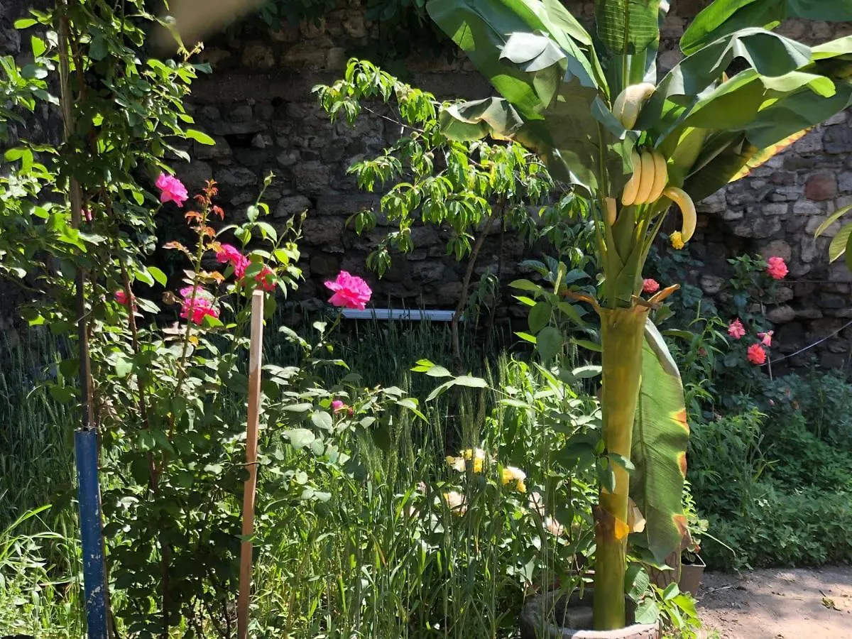 Hamam Hostel 1469 이스탄불
